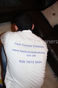 Fast Carpet Cleaners 355326 Image 2